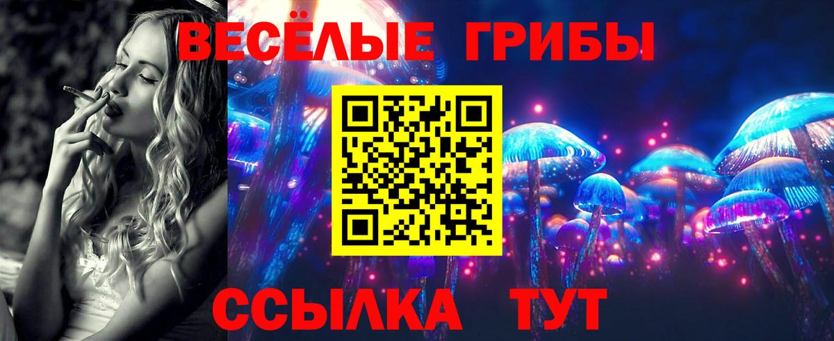 Озёры  Псилоцибиновые грибы Psilocybine cubensis  Вход с VPN  Галлюциногенные грибы прущие грибы 
